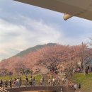 황산공원 이미지