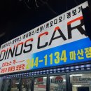 다이노스카 이미지