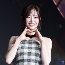 플랜-이 이미지