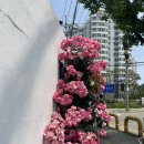 만천천길 이미지