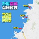방주골 | 백천만 해수욕장 차박실태 탐방