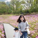 불암산 순환산책로 이미지