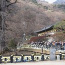 동행산업 - 안동시 감나무길 18 | 동행산업