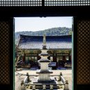 영천 죽림사 철조여래좌상 | 179. 백일흔아홉번째여행 영천 죽림사