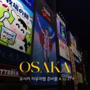 오사카 자유여행 가족여행 준비물✨ : 여행자 보험, 트래블 월렛, 주유패스, 하루카 열차 예약, 로밍 등✅