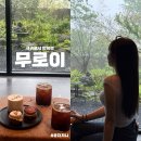 서귀포 비 오는 날 가기 좋은 카페 무로이 내돈내산 후기