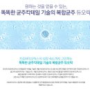 좋은유산균 듀오락 IBS(과민성대장증후군)-강동구 맑음한의원