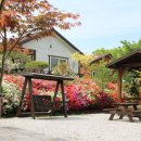 뜨락엔햇살 이미지