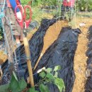 요한이네농장 이미지