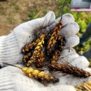 갈곡농장 이미지