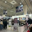 코엑스 베이비페어 2025 후기 사은품 받기