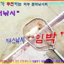 청기와낚시 Daum카페