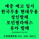 천안발레학원 유아발레 바가노바 수업으로