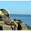 구름포오토캠핑장 이미지