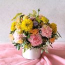 꽃;식물연규소