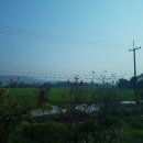 단23(Dan23) 이미지