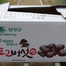 대숲맑은표고