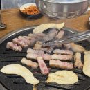 도도한돼지 이미지