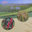 유창수농장 네이버블로그