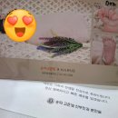 송파고은빛산부인과 오소영원장님 제왕절개 생생후기:)