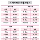 두유네 애견미용실 이미지