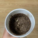 혜인식당 이미지