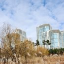 명리학(중급) 이미지