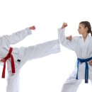 한국체대 MTA 태권도 이미지