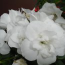 천주의성요한병원 이미지