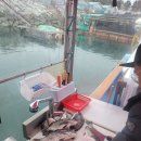 웅천횟집 이미지