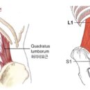 메이크무브짐 이미지