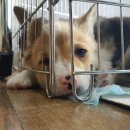 세광상사 이미지