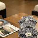 나인브릿지콘도미니엄 이미지