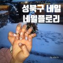 네일플로리 - 성북구 월곡로18나길 1 | 월곡역네일 겨울 화이트네일 네일플로리