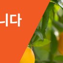 더제이굿즈