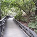 [ 제 552 회 ] 2018 - 10 - 6 (토) 배봉산 공원과 자락길 걷기 이미지