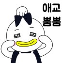 애드고흥
