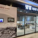 수원시 장안구 밤밭 수원시민신문