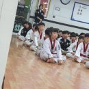 신주례태권도2 이미지