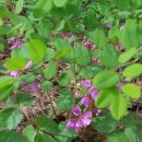 아름도담길 이미지