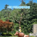 이천농업테마공원숲체험관 네이버블로그