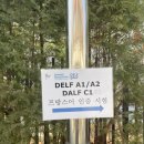 한글교실(초급) | 2026 3월 델프 A2 시험 후기 + 공부 방법