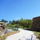 보은 삼년산성 | 보은 삼년산성 억새 명소, 가을 여행의 진수를 만나다