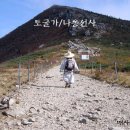 선근식당 이미지