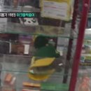 대박뽑기짱 이미지