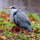 탄천 연원마을 이미지