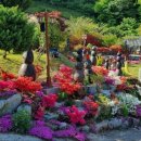 주암민박 이미지