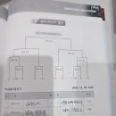 제56회여수거북선기 전국남녀배구대회 본선결선토너먼트대진표 이미지