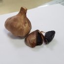 남해군흑마늘주식회사 이미지