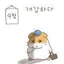 아빠가 준비한 건강 키위헬스몰 | ❸ 열두번째 개강